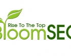 bloomseo4
